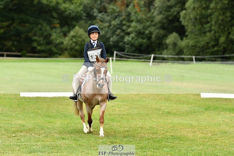 250820A-111730-04985 - 11am to 12