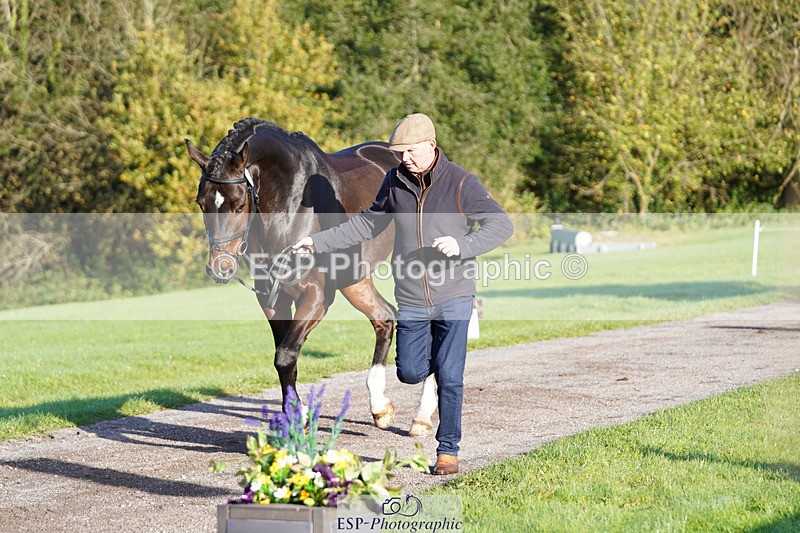 241026-100212-11559 - 005-Matthew.Heath-DIEGOS.ROSE