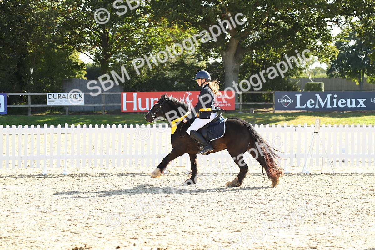 SBM_36063 - J5 - Junior Pony 50cm Championship