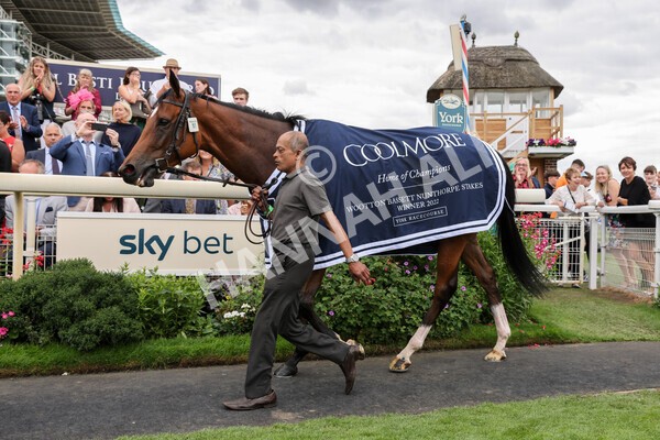 yr19082022r4-125 - Race 4 3.35pm Coolmore Wootton Bassett Nunthorpe Stakes (British Champion Series Race)