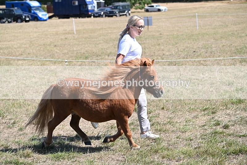 WJ6_9224 - Championship Classes 33-38