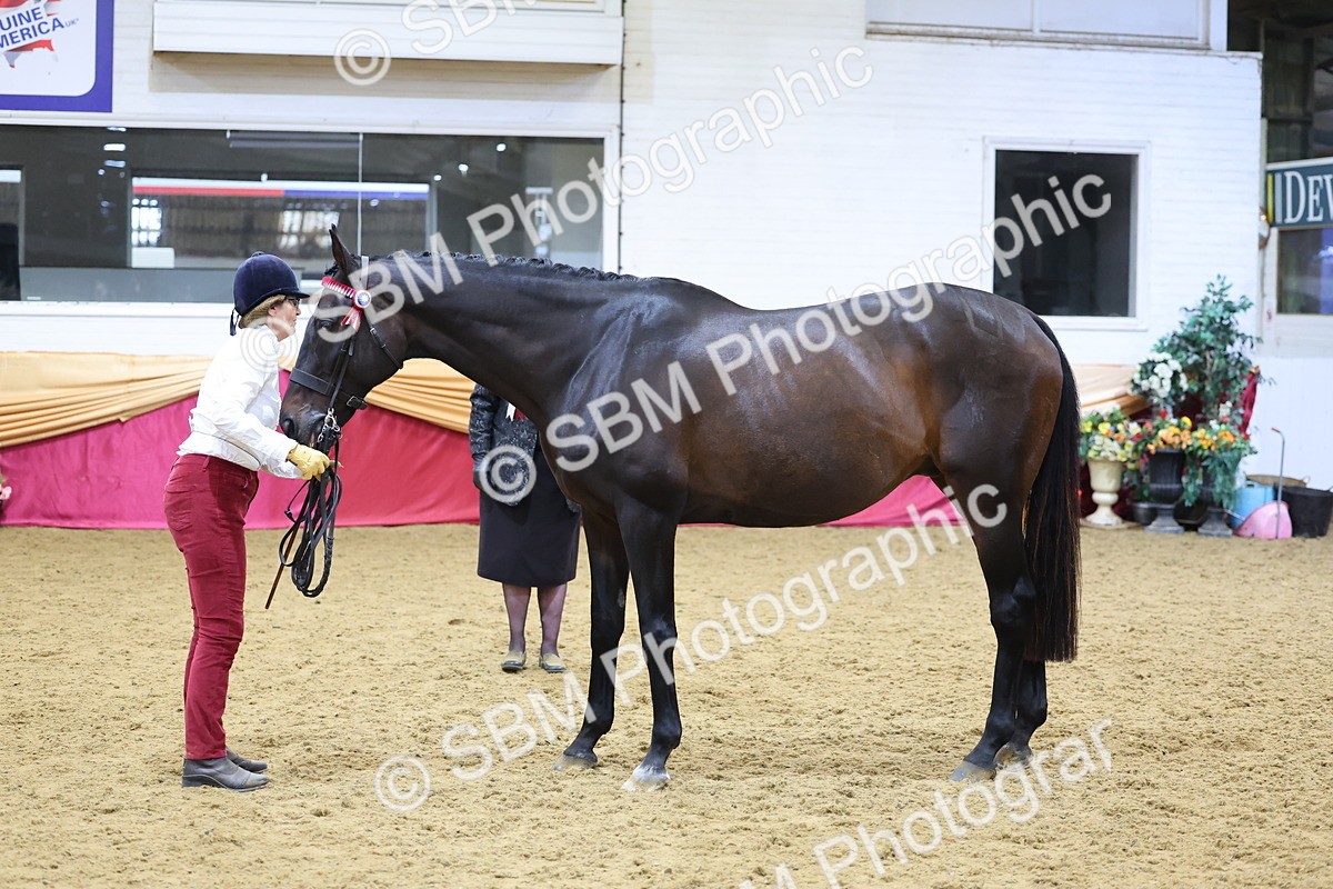 SBM_20871 - Class 902 - Supreme Final IH Veteran