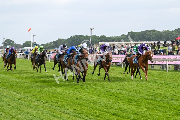 150525-First Legion-5149 - Race 6 4.55pm Frank Whittle Partnership ebfstallions.com Novice Stakes