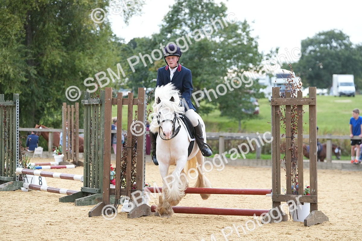 SBM_74893 - J4 - Mini Tour Junior Pony 45cm Championship