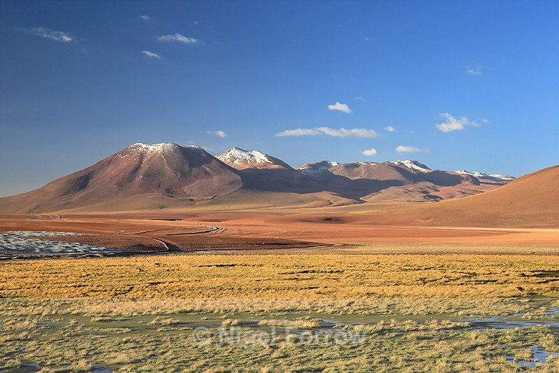 View north towards Volcan Tatio from B-245 Viewpoint, Chile - Chile
