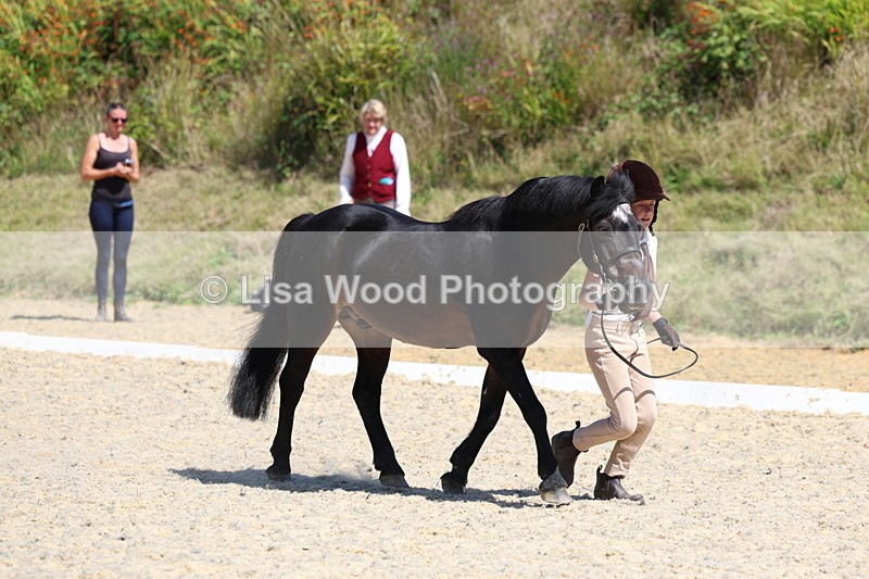 3E7A9423 - Class 29: Veteran In Hand