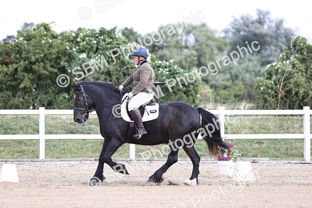 SBM_016740 - Class 14 Novice 23 - 11.53-12.56