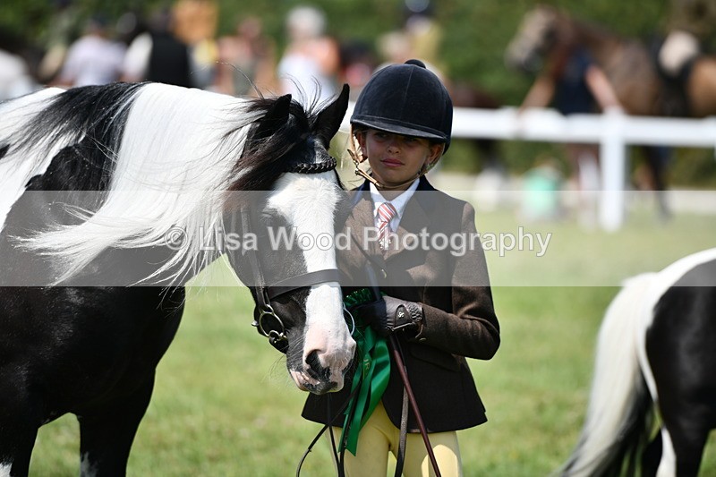 DSC_7793 - Class 64: Coloured Pony 4yrs & over