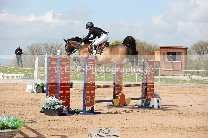 250427-111124-15849 - Cls 36 Young Horse 7yr old