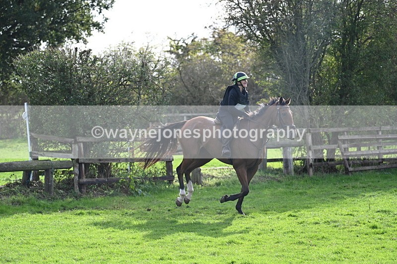 WJ7_0948 - Time 14:27 to 15:11