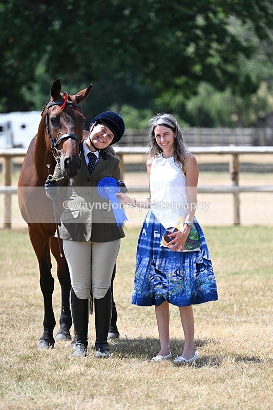 WJ7_2035 - Class 4a Prettiest Mare 14.2hh and over hand