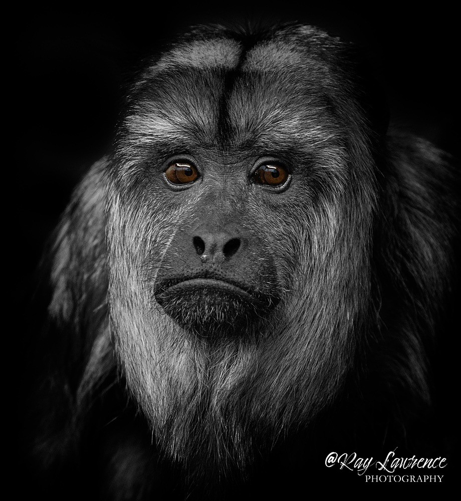 20211116-RLP_7887 - Vulnerable and Beyond