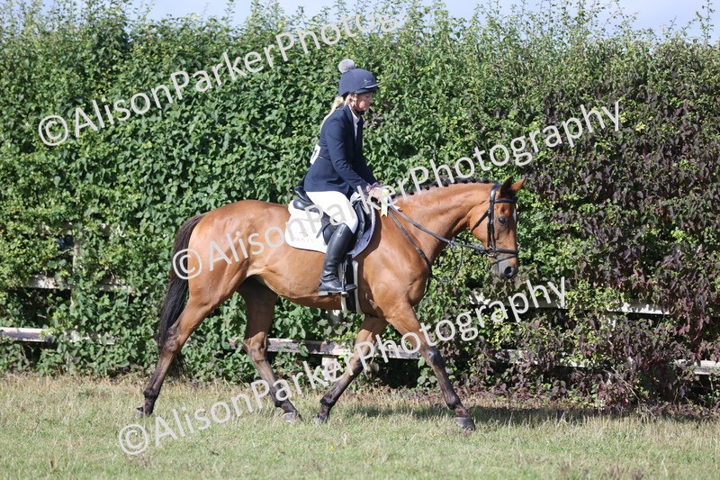 20250831-0956 - Class 14 - Ex Racehorse