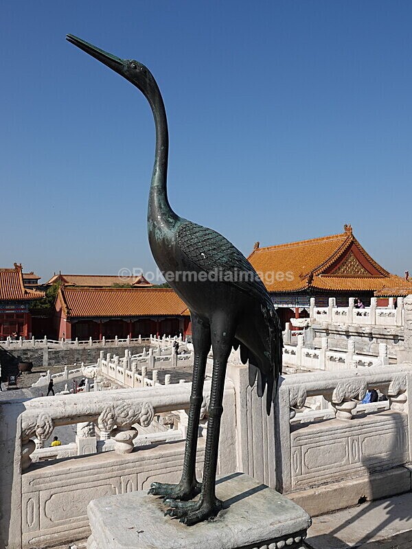 CHINA__1124 - China 2019