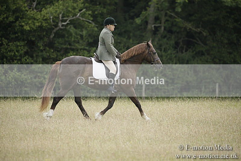 B230619-0018 - Bourne Valley Riding Club Summer Show 23/06/19