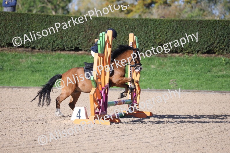 20251005-0047 - Class 1 - 40cm