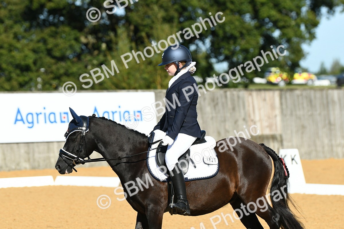 SBM_16327 - D4 - Small Tour Championship - Intro B