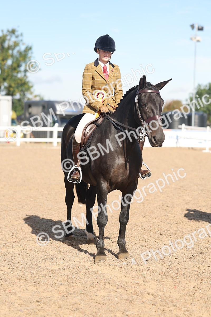 SBM_12420 - Class 304 - Ridden part Bred Horse Pony