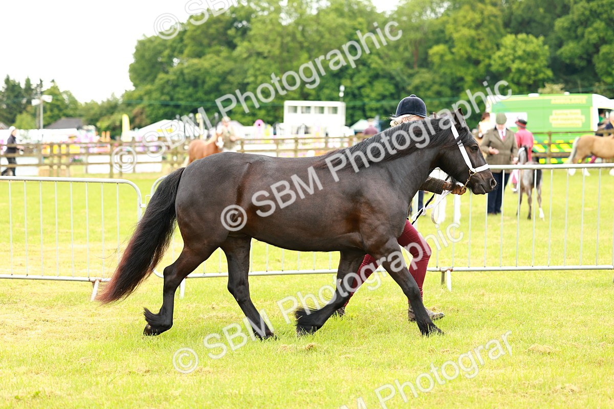 SBM_00372 - Class 58-67 - M&M Non Welsh Pony In hand