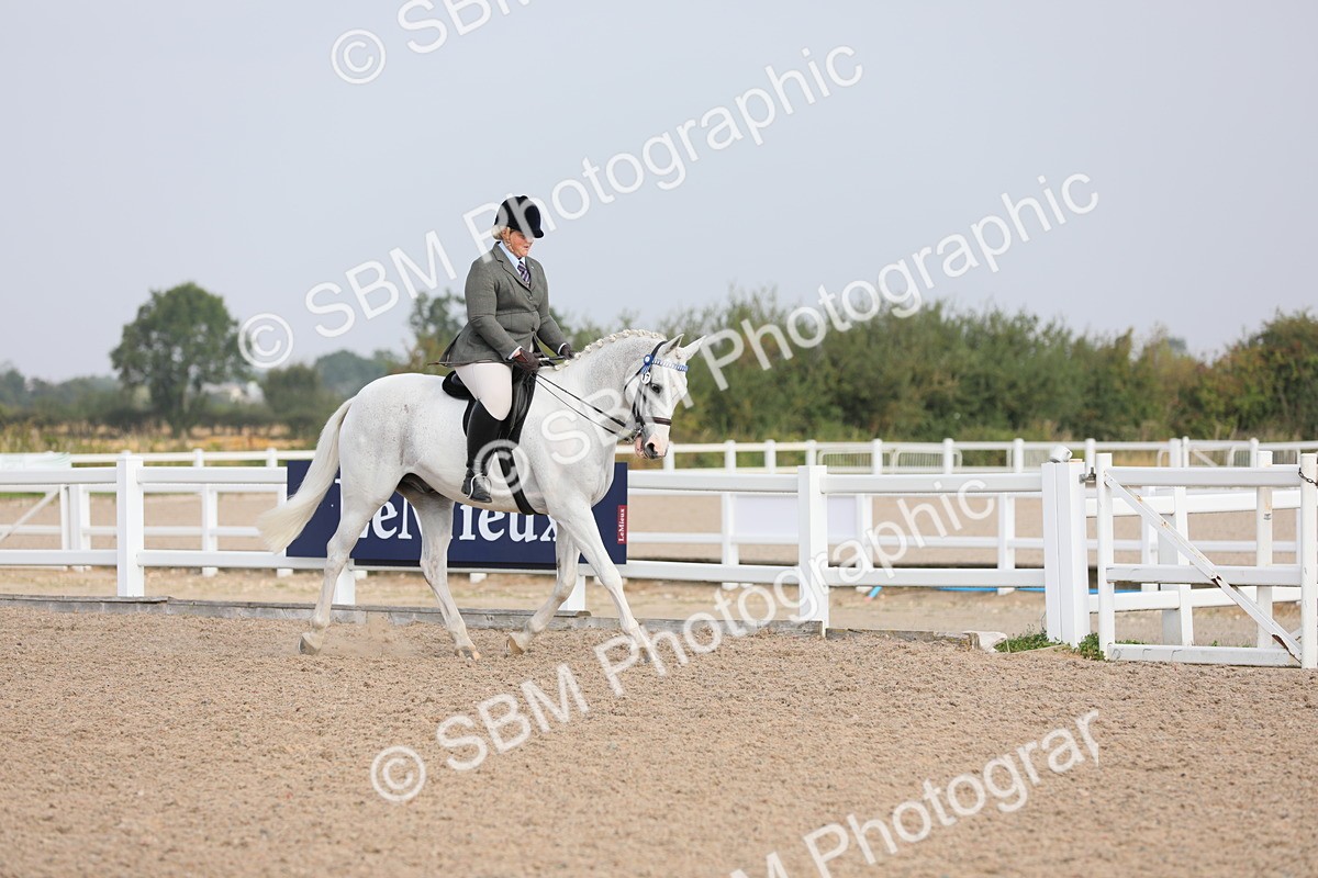SBM_10864 - Class 304 Ridden Part Bred Horse/Pony