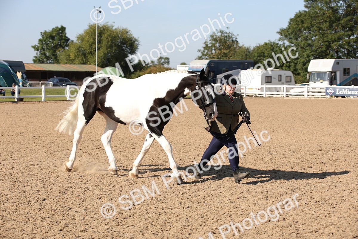 SBM_01487 - Class 15 IH Coloured