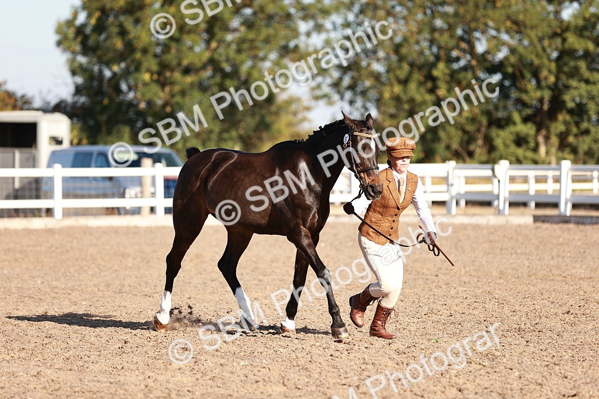 SBM_11406 - Class 402 - IH  Veteran pony