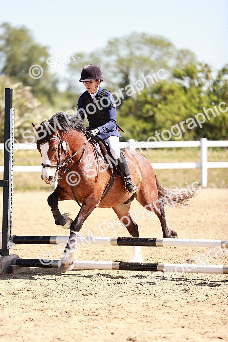 SBM_006989 - Class 2 - 50cm