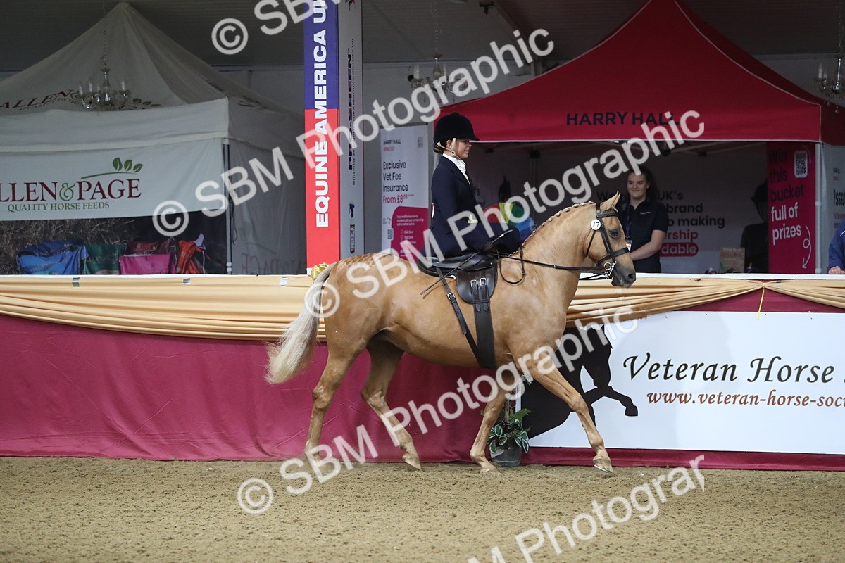 SBM_09246 - Class 101 Equitation (best rider), Junior