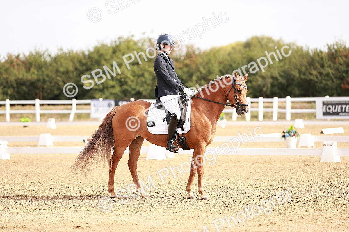 SBM_016900 - Class 10 - Medium 6