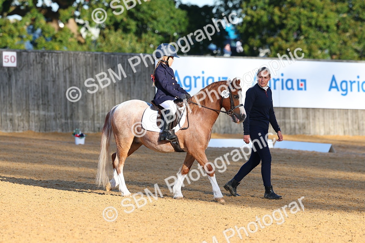 SBM_33484 - D26 - Test Starter Test 1