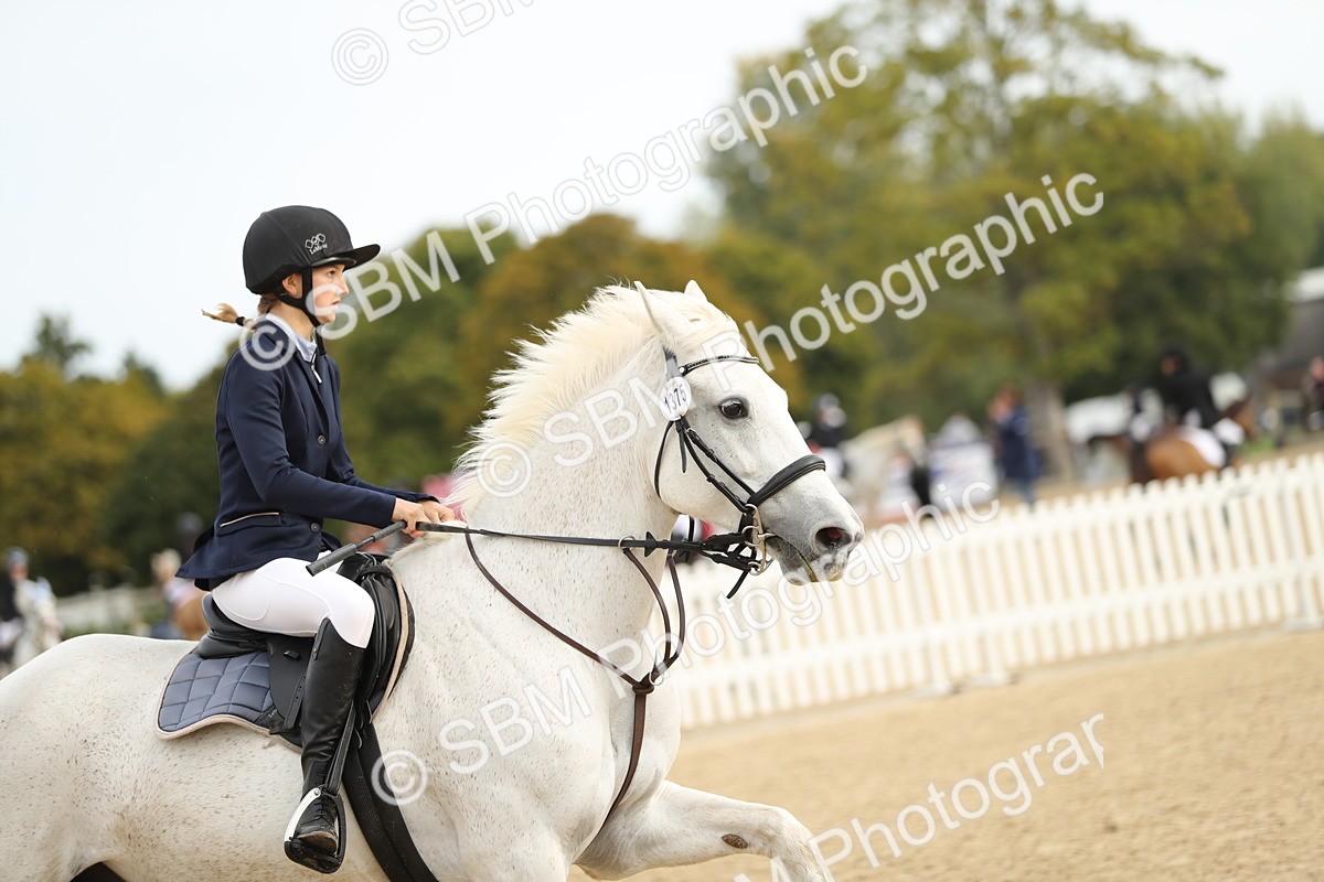 SBM_58597 - J25 - Junior Horse 80cm Championship