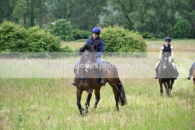 WJ6_7907 - Camera 1 Gallops