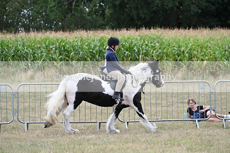 WJ7_5349 - Class 12 Ridden Cob
