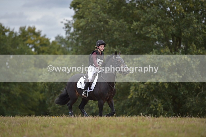 NGP_1953 - XC Time 11:20 to 11:36