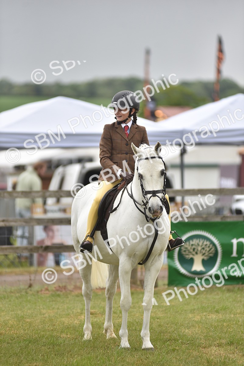 SBM_12015 - Class 110-112 - LIHS BSPS Performance Pones