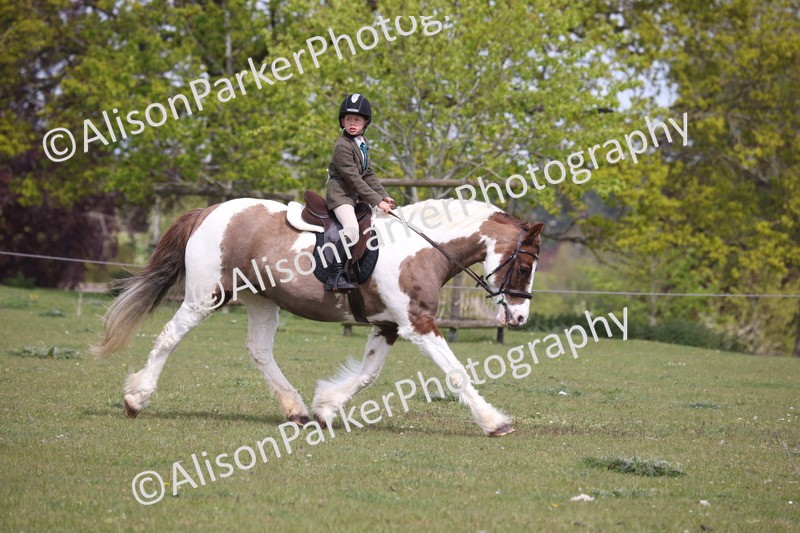 20260426-4451 - Class 34 - Best Riding Horse Over 14.2hh