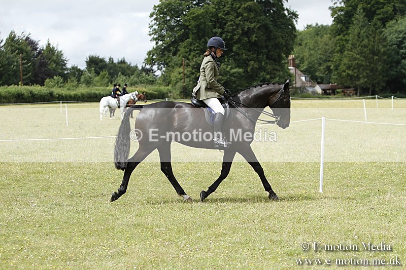 BVR160717-2279 - Working Hunter Championship 16/07/17