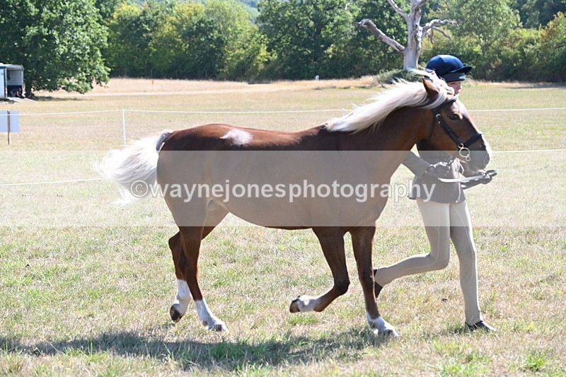WJ6_4715 - Class 17 Mountain & Moorland