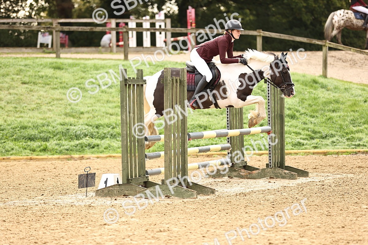 SBM_58207 - J41 - Grand Tour Horse & Pony 95cm