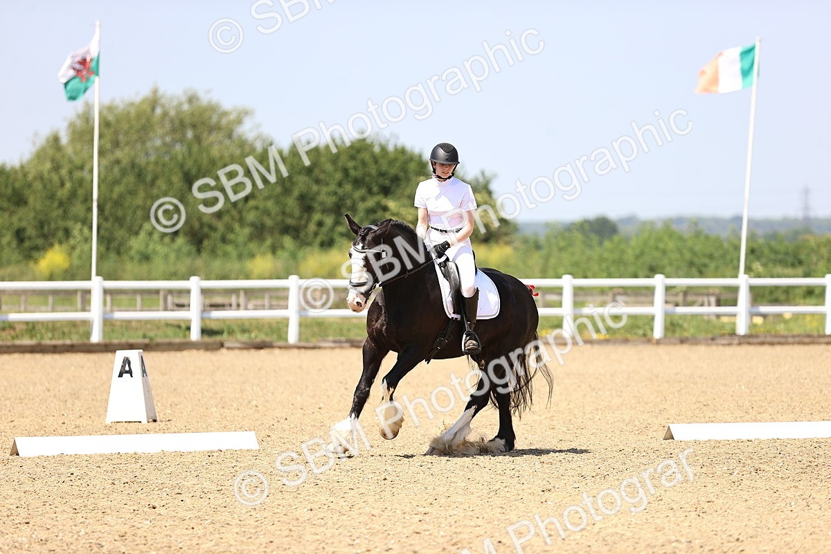 SBM_009049