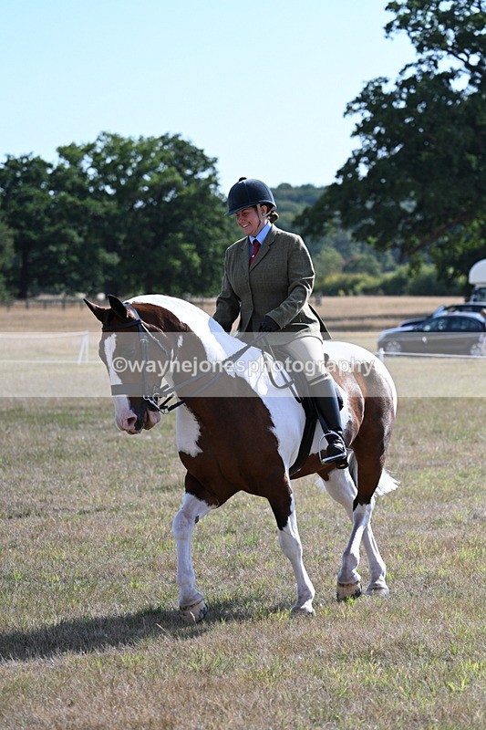 WJ7_2835 - Class 8 Ridden Tack & Turnout