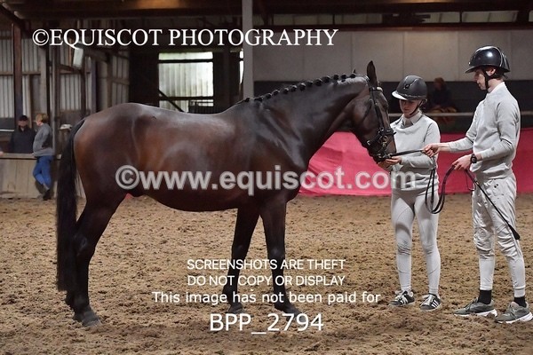 BPP_2794 - LOOSE JUMPING / SPSS
