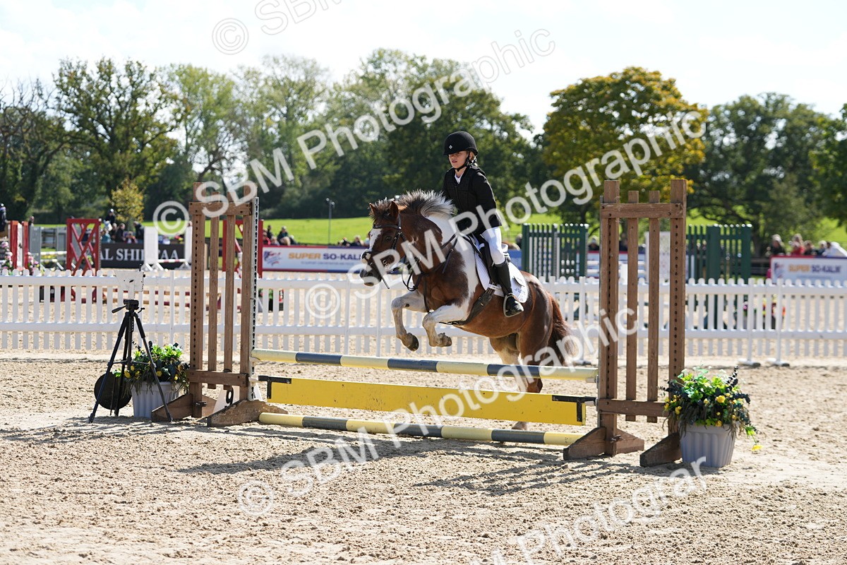 SBM_46589 - J7 - Junior Pony 60cm Championship
