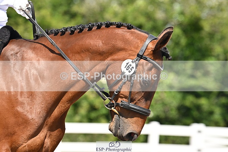 240621A-105044-01450 - Cls 4 BD Novice 22