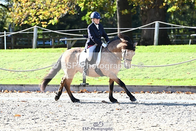 231110-121508-00628 - Cls 3 Novice 22