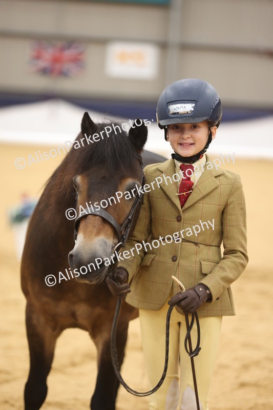 20260913-1142 - Class 110 - Bred In Other In Hand