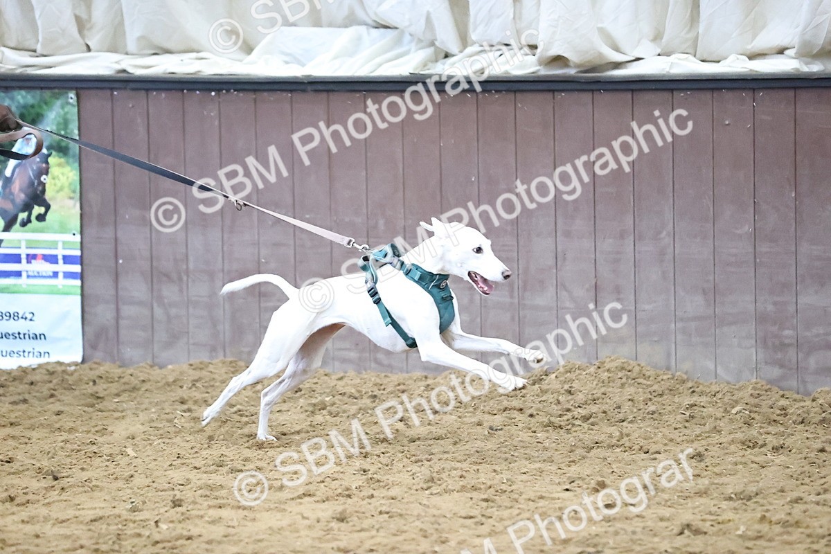 SBM_001330 - Class 3 - Horse & Hound 60cm
