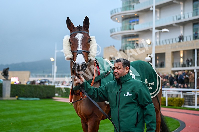 131224-Race 7-Zain Nights-0057 - Race 7