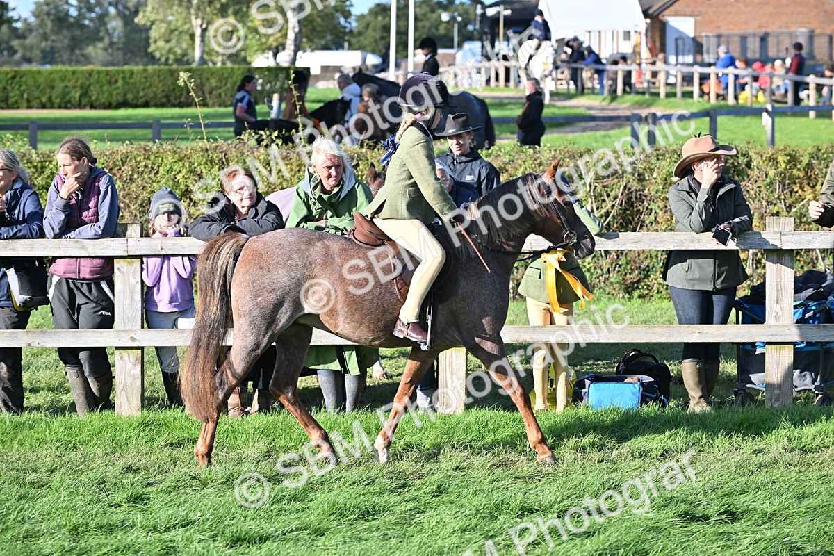 SBM_53038 - S23 - First Ridden Mountain & Moorland Pony