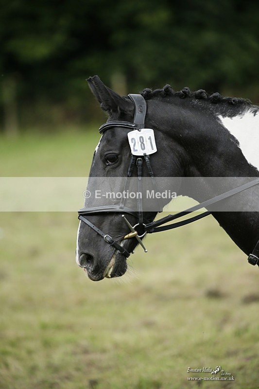 BVRC 120921 444 - Bourne Valley Riding Club UA Dressage & Show Jumping 12/09/21